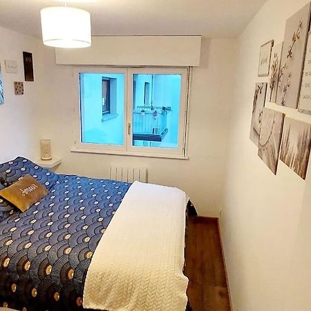 Appartement Cosy Στρασβούργο Εξωτερικό φωτογραφία